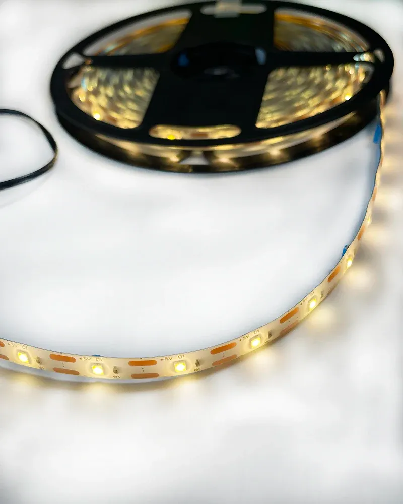 Bande LED solaire installée dans un jardin de nuit