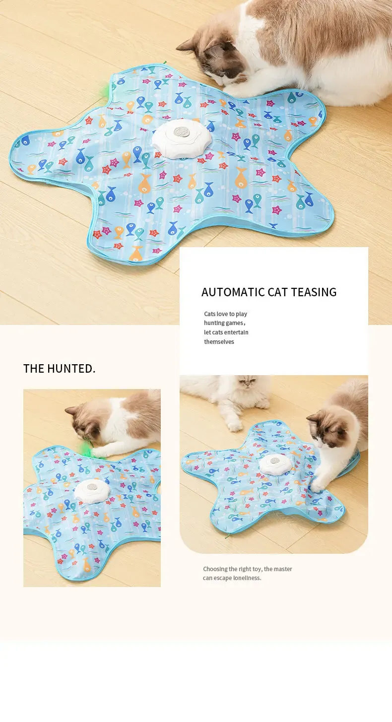 Jouet interactif cache-cache pour chat, dernière vue