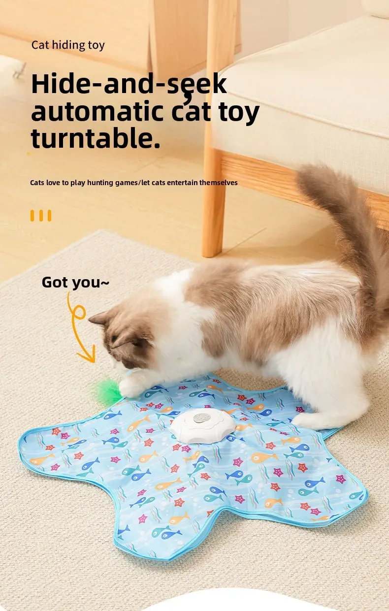 Jouet interactif cache-cache pour chat, vue d'ensemble
