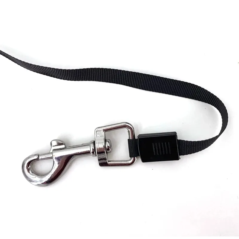 Laisse rétractable pour chien, vue d'ensemble