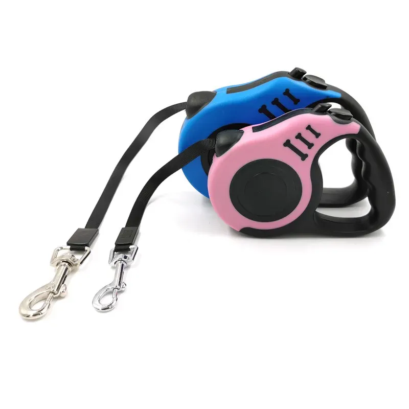 Laisse rétractable pour chien, en balade