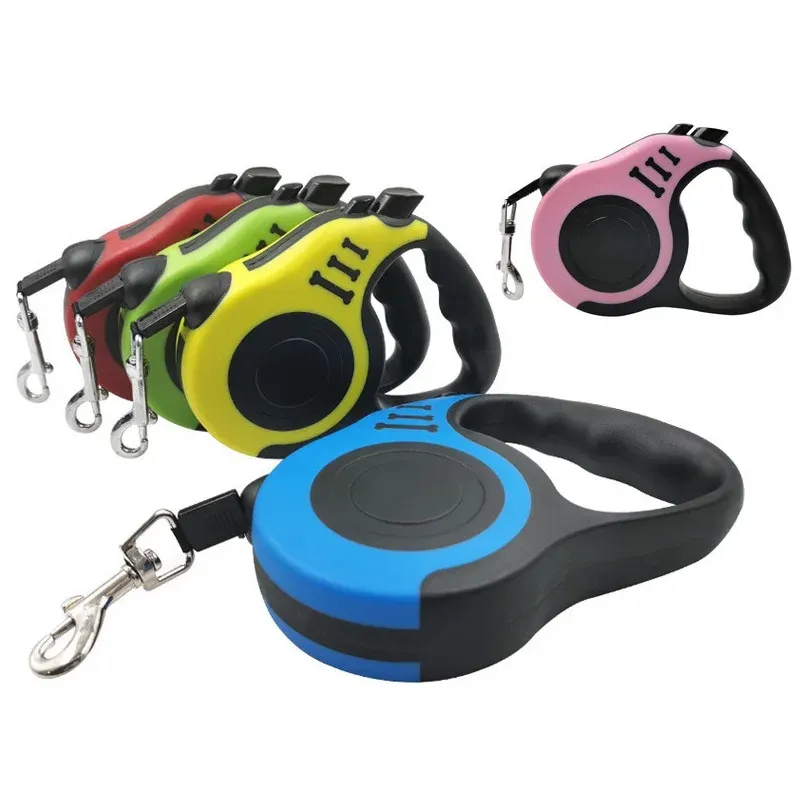 Laisse rétractable pour chien, en situation