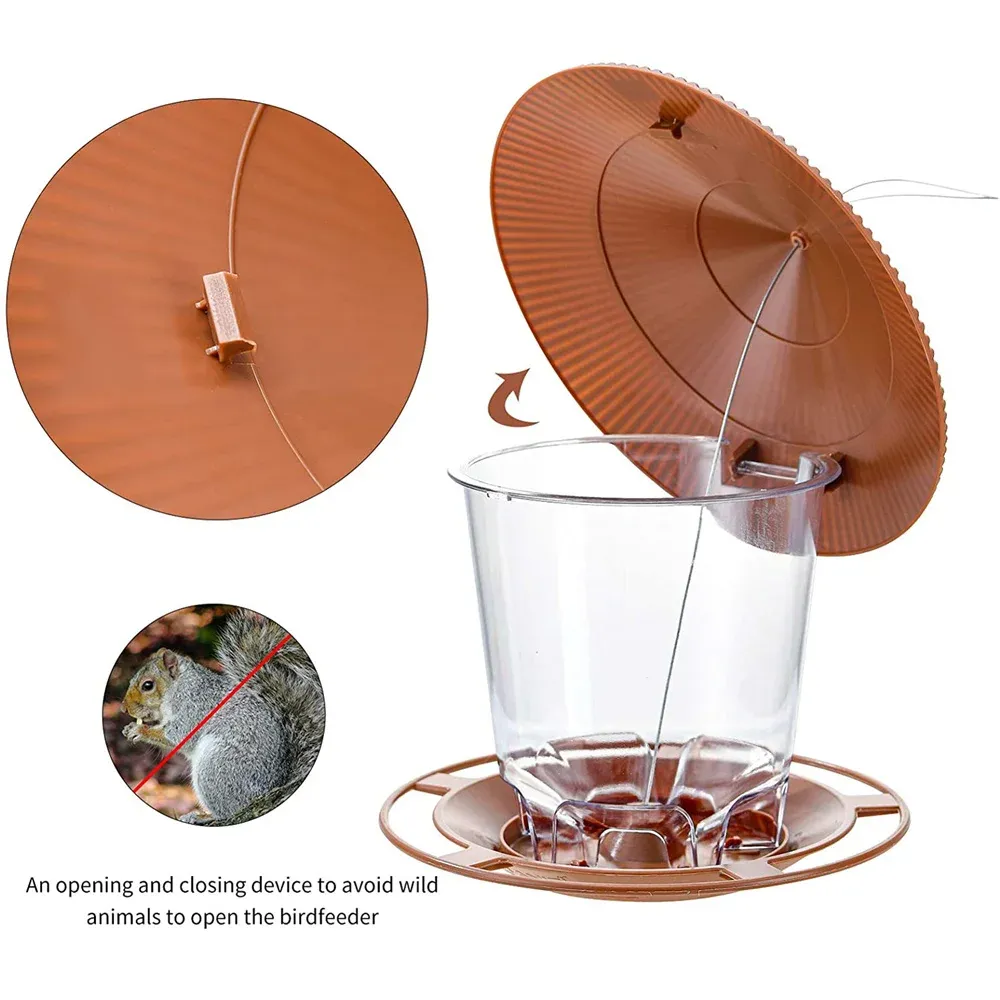 Mangeoire pour oiseaux en situation