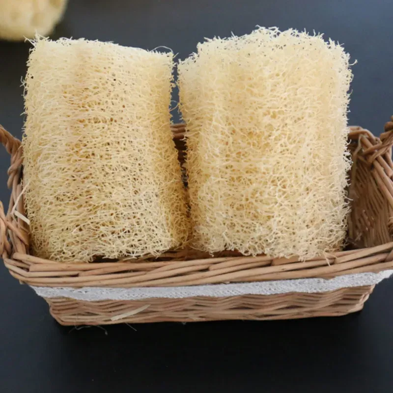 Éponge Loofah naturelle, vue détaillée
