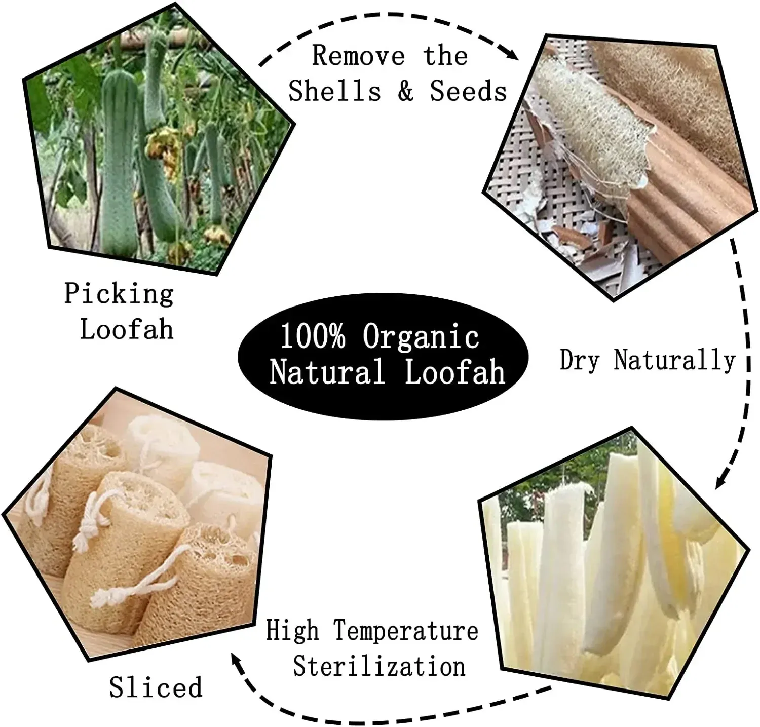 Éponge Loofah naturelle, vue d'ensemble
