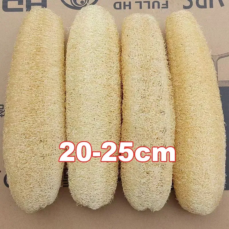 Éponge Loofah naturelle polyvalente pour la cuisine et le bain, lot de 1 ou 3 pièces 8