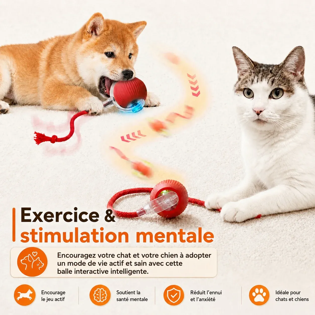 Jouet intelligent pour chat en action