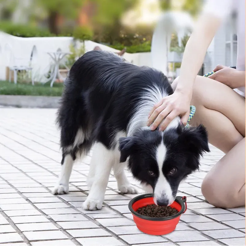 Gamelle pliable en silicone pour animaux de compagnie avec mousqueton 2