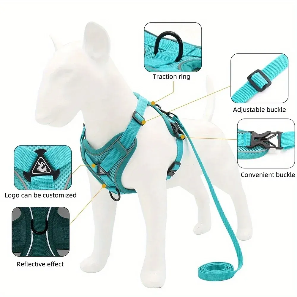 Harnais et laisse sans traction pour petits chiens et chats, réglable et réfléchissant 4