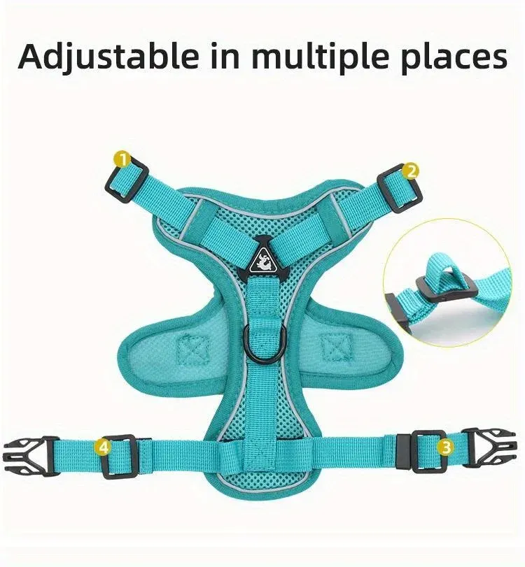 Harnais ajustable pour petit chien