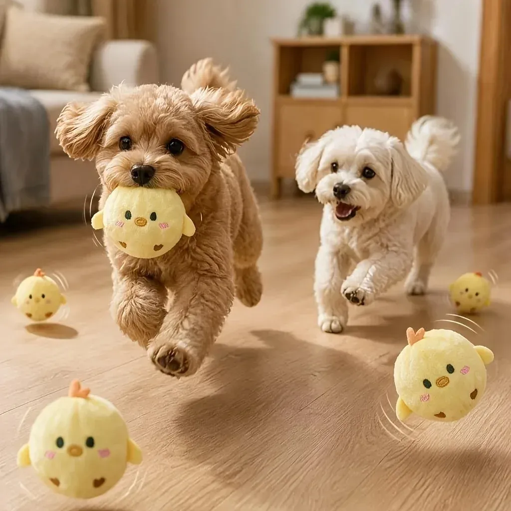 Balle interactive couineuse en forme de poussin pour chiens et chats, résistante à la mastication et à rebond lent 5