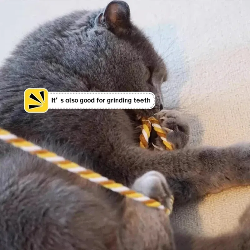 Jouet interactif pour chat avec ruban en satin et baguette à plumes pour chaton 6