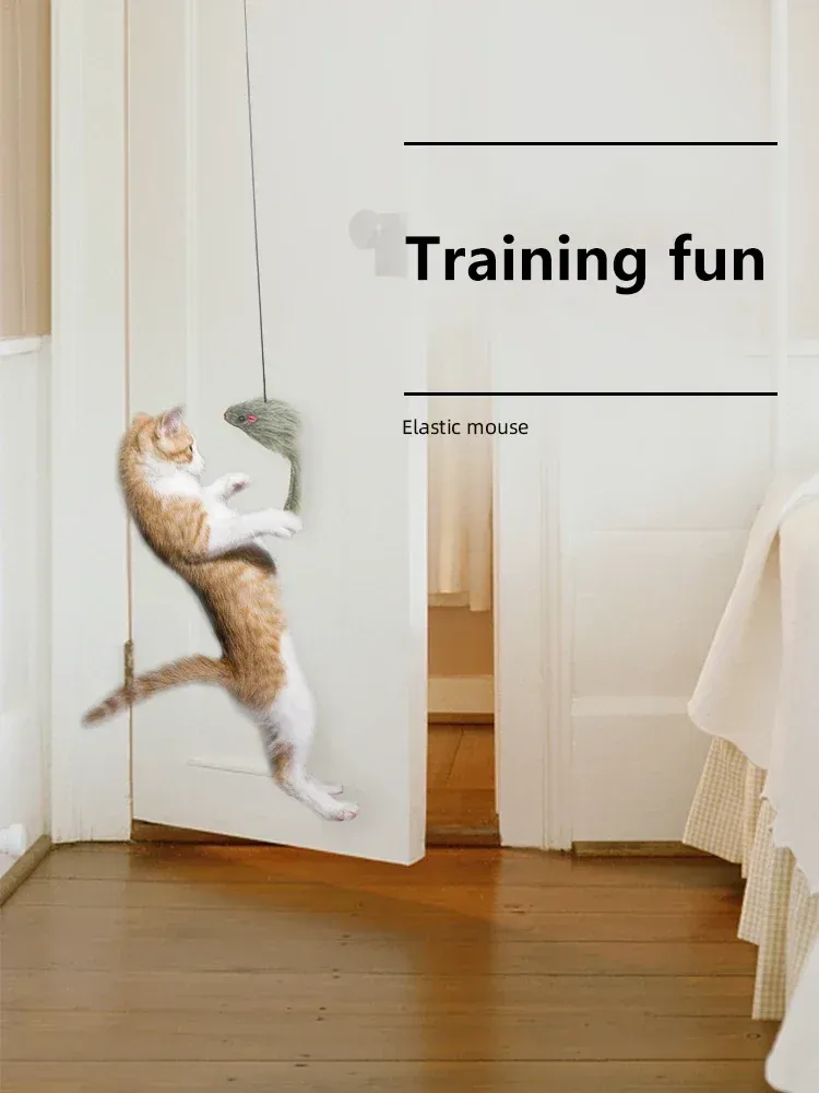 Détail du jouet pour chat