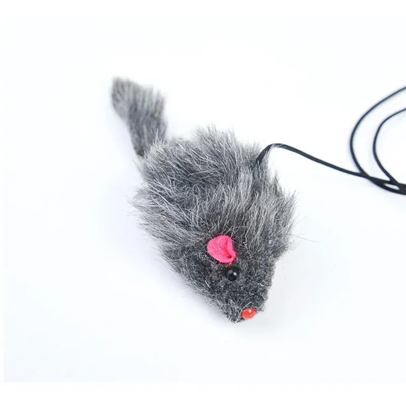 Jeu de chasse pour chat