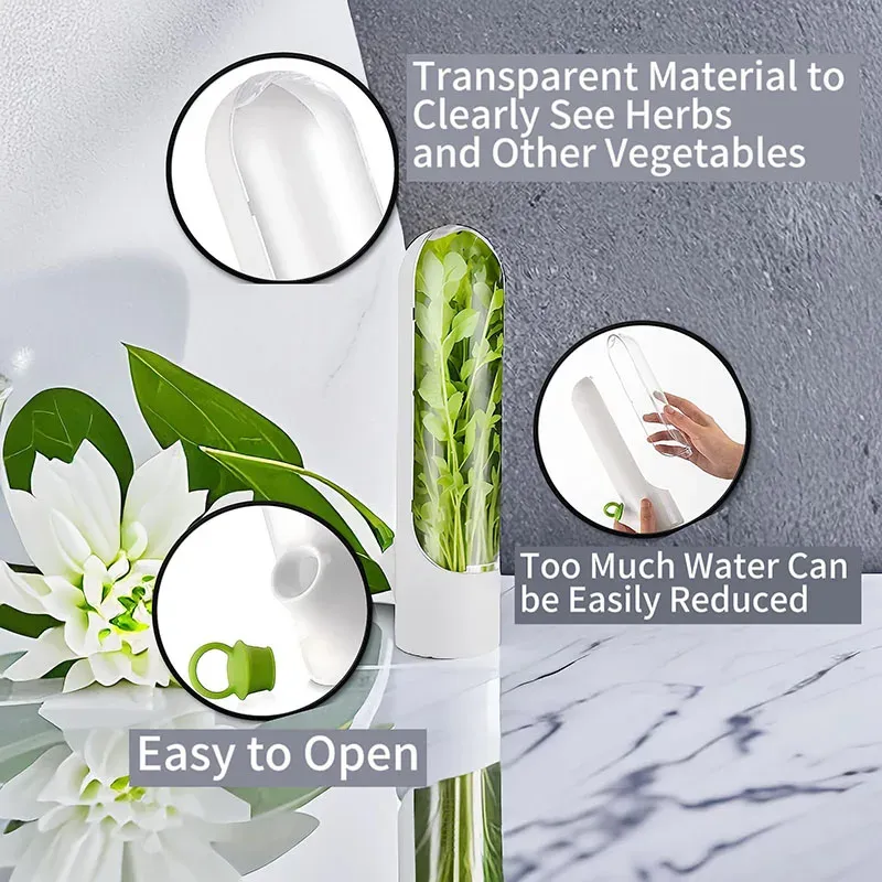 Bac de conservation pour herbes et légumes frais pour réfrigérateur 6