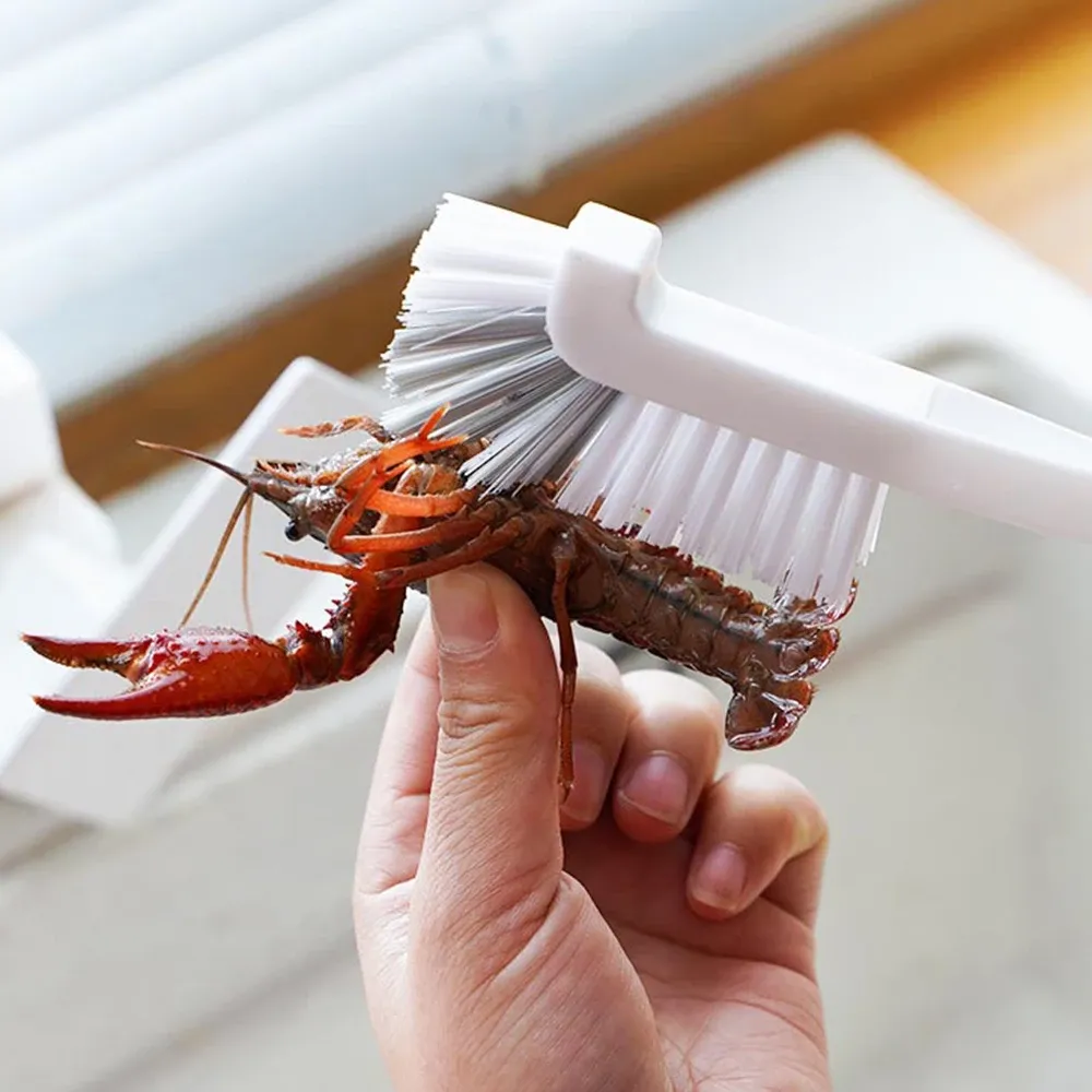 Brosses de nettoyage pour la maison : baignoire, douche, carrelage, évier, rainures et rails de fenêtre 4