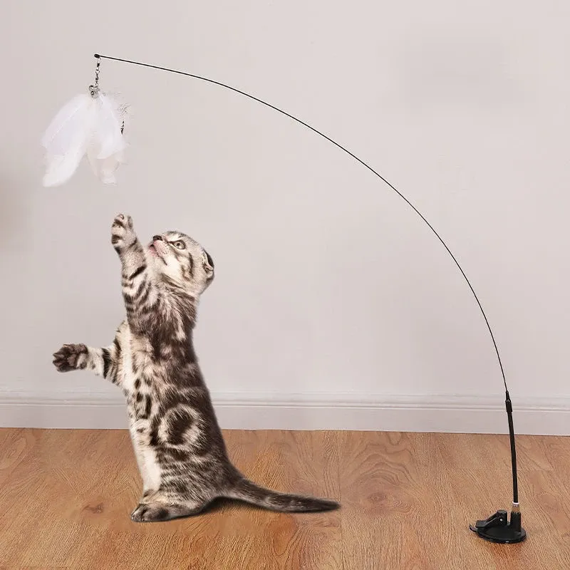 Baguette Teaser interactive pour chat et chaton, mains libres, avec ventouse et plume