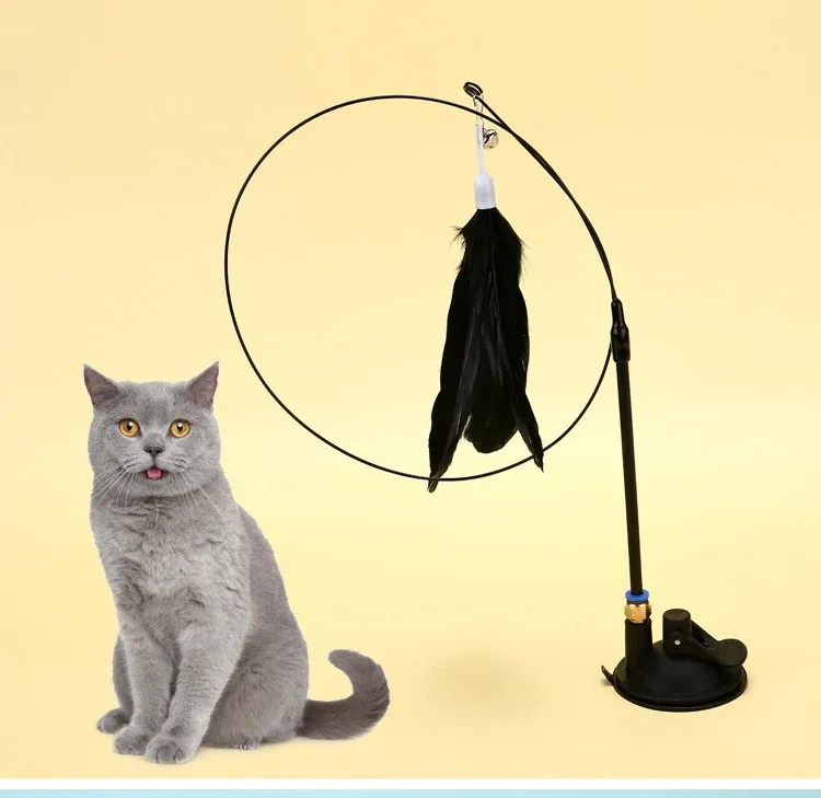 Jouet interactif pour chat à plumes
