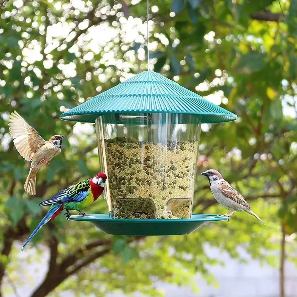 Oiseaux se nourrissant à la mangeoire