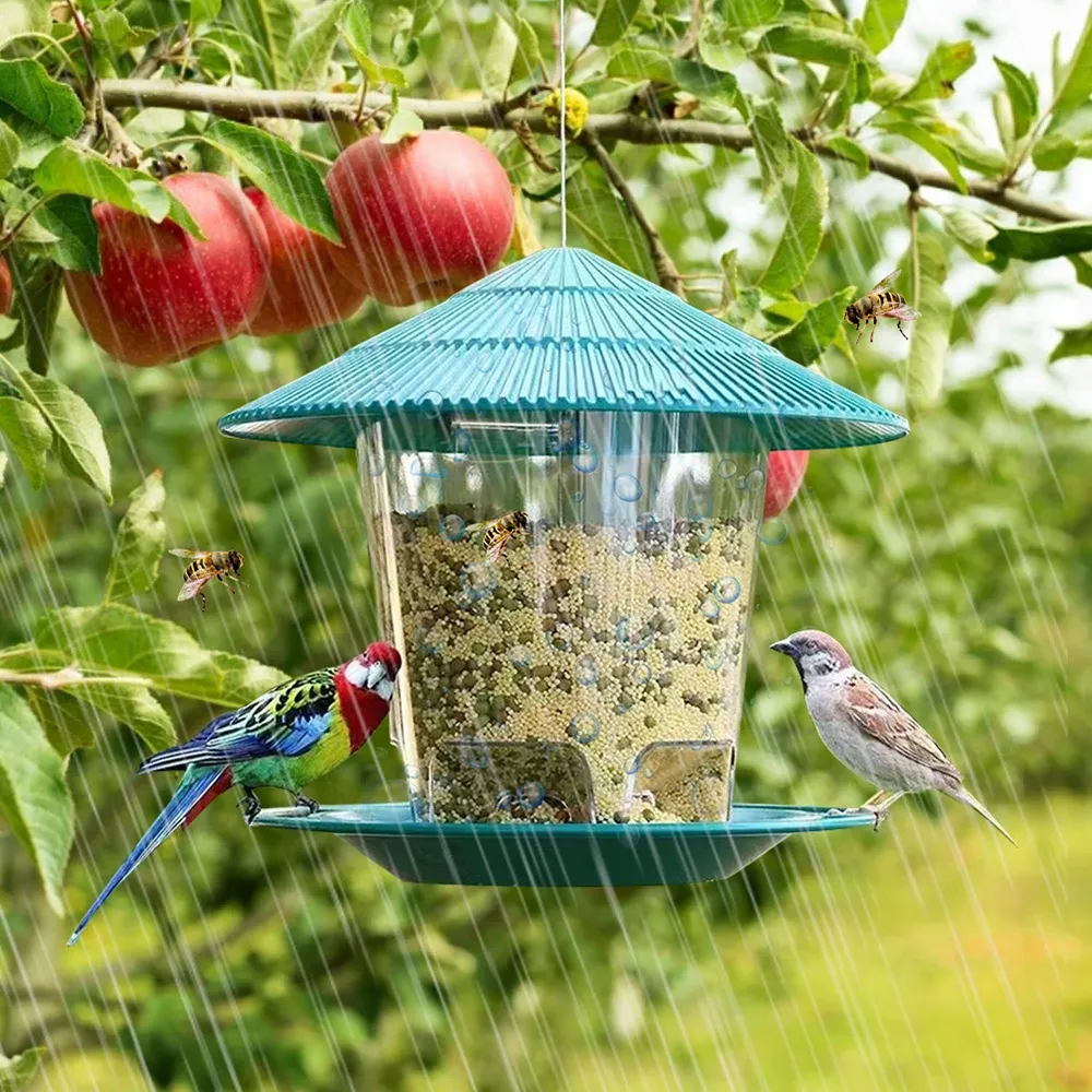 Mangeoire à oiseaux avec graines