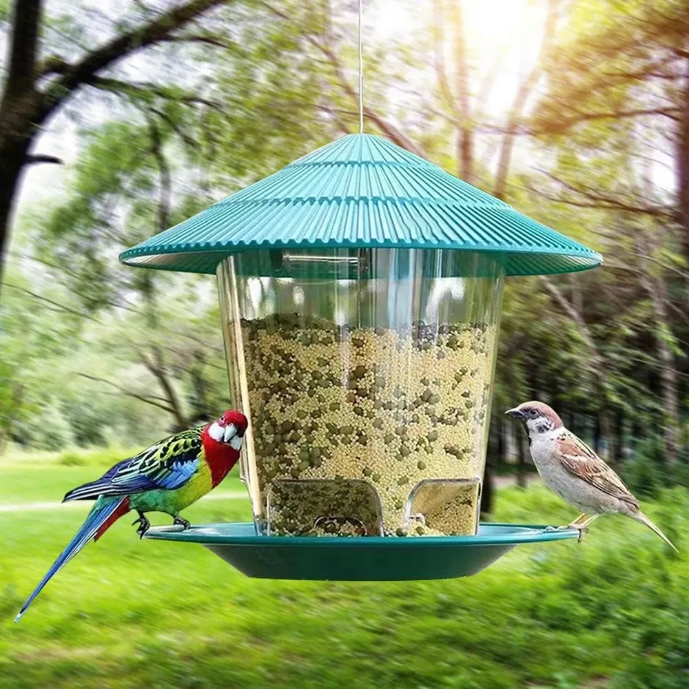 Mangeoire à oiseaux en situation