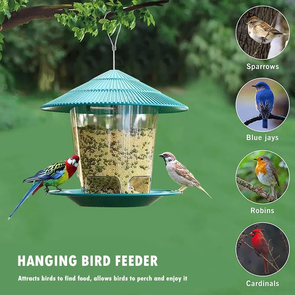 Mangeoire à oiseaux pour l'extérieur