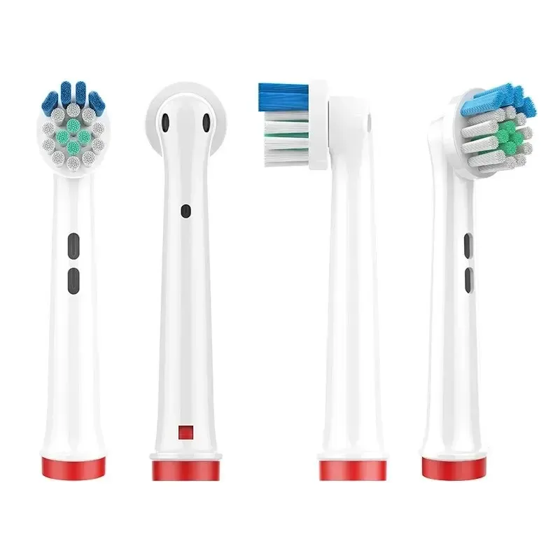 Poils Dupont de la tête de brosse