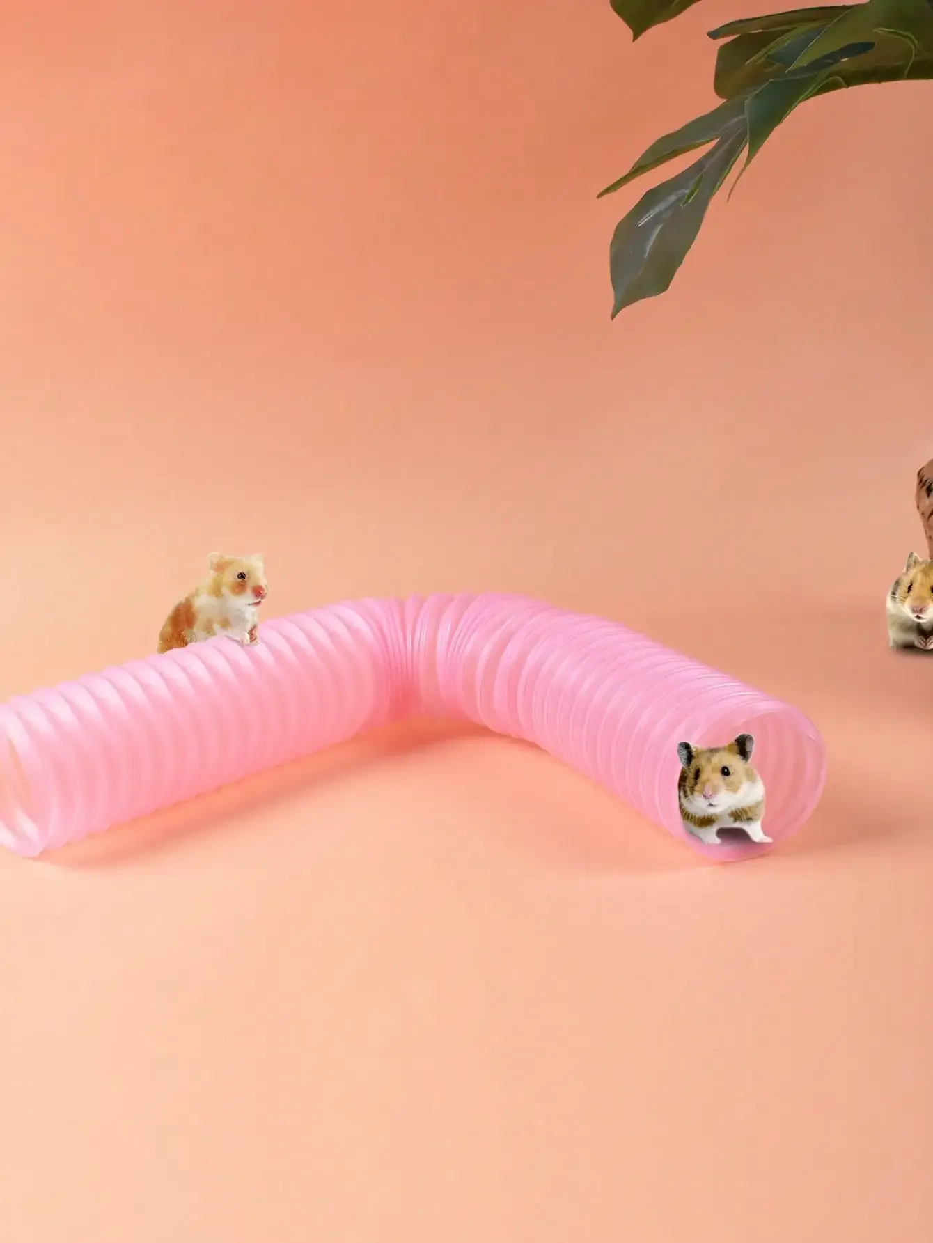 Accessoire de jeu pour hamster et cochon d'Inde