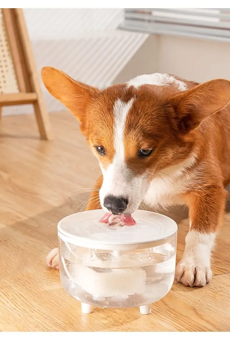 Fontaine d'eau pour animaux, mise en situation