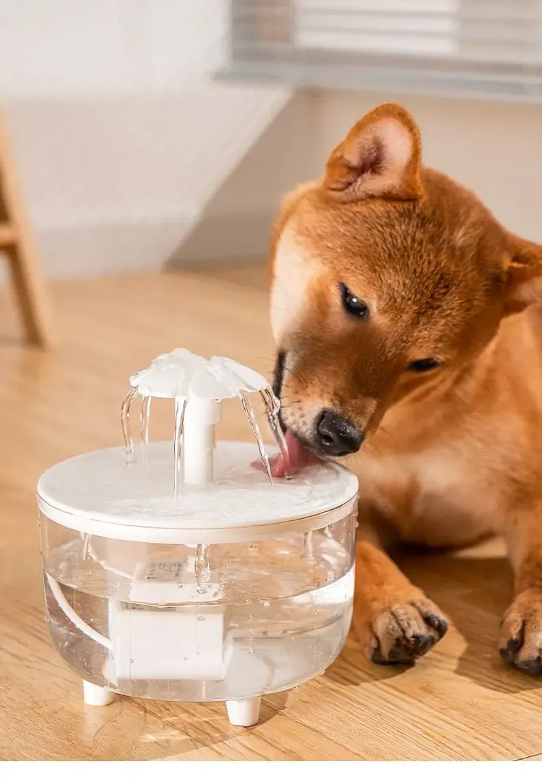 Fontaine à eau pour animaux de compagnie