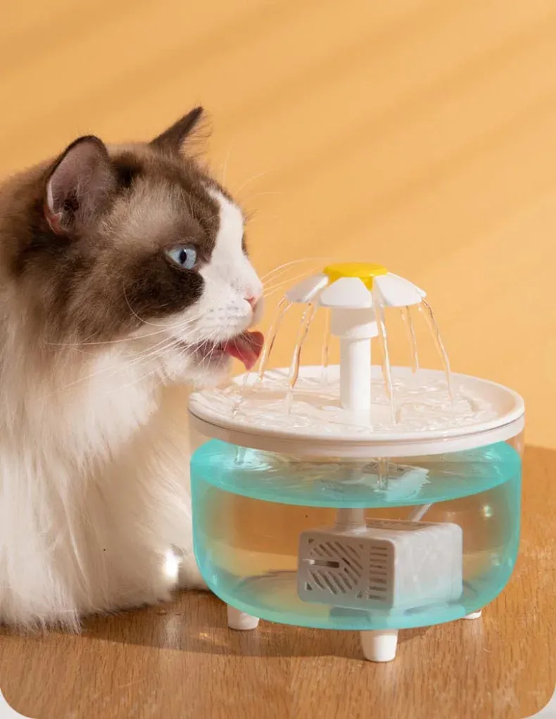 Fontaine d'eau pour animaux, vue détaillée