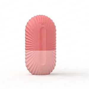 Rouleau à glaçons pour le visage, outil de soins de la peau et de beauté, masseur facial 9