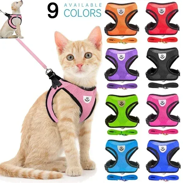 Harnais réglable en maille de polyester doux et respirant pour chiens et chats, avec laisse de promenade - Image 1