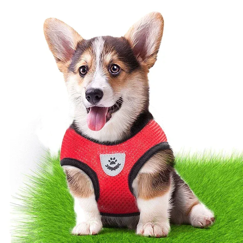 Harnais réglable en maille de polyester doux et respirant pour chiens et chats, avec laisse de promenade 5