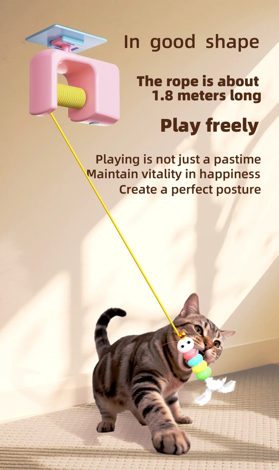 Détail du jouet interactif pour chat