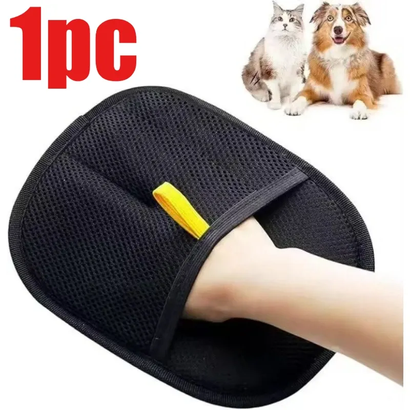 Collection complète d'accessoires pour animaux de compagnie