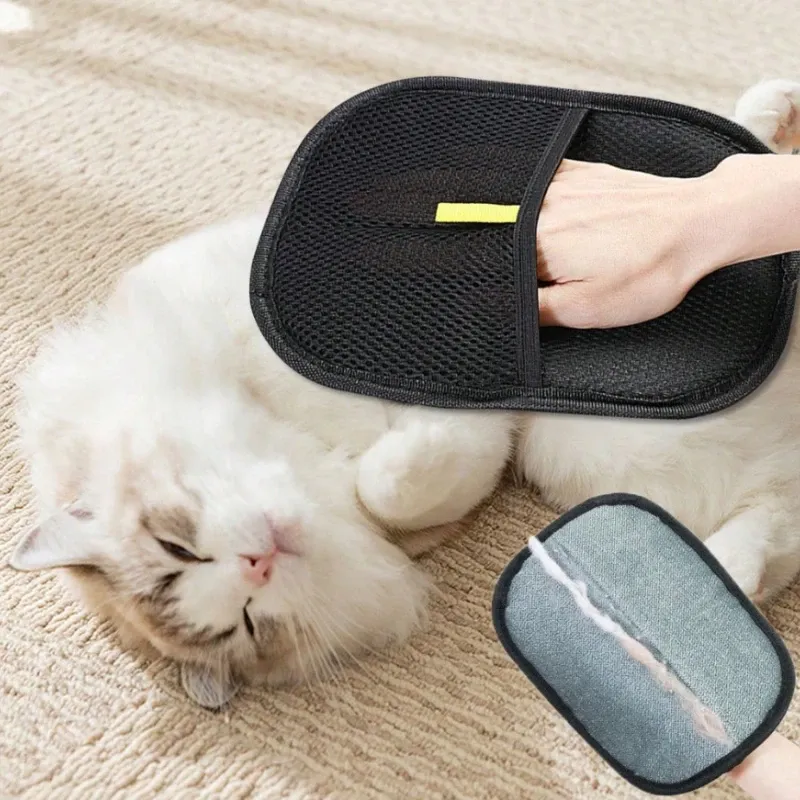 Présentation de la collection d'accessoires de toilettage pour animaux de compagnie
