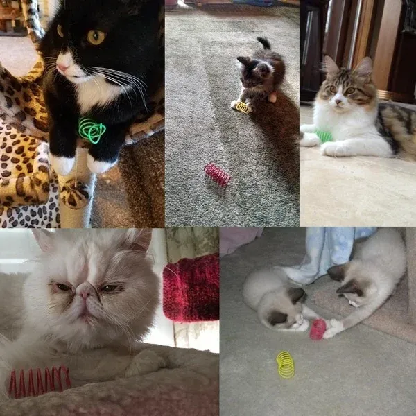 Jouet interactif à ressort en spirale pour chat, bobine colorée 6