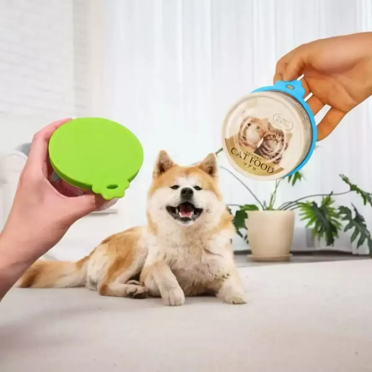 Couvercle en silicone réutilisable pour boîte de conserve pour animaux