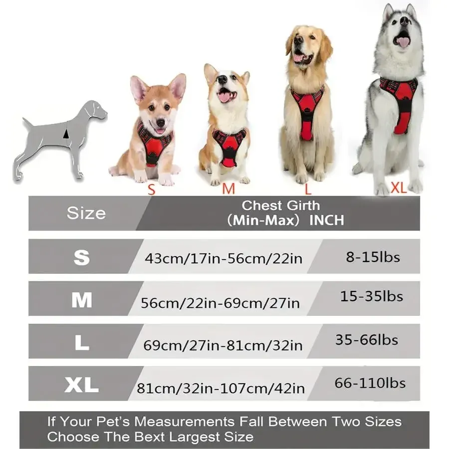 Colliers pour chiens, harnais, grand gilet, laisse, accessoires en cuir pour chiots, ensemble moyen et petit 6