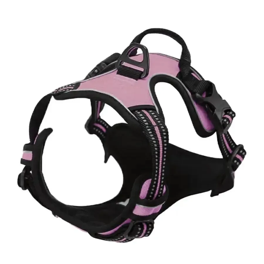 Colliers pour chiens, harnais, grand gilet, laisse, accessoires en cuir pour chiots, ensemble moyen et petit 11