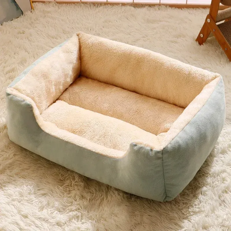 Accessoire d'hiver pour chien et chat